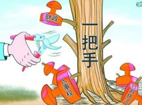 你確定你們的項目是“一把手工程”？